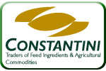 Constantini