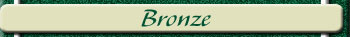 BRONZE SPONSORS