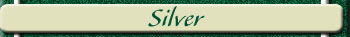 SILVER SPONSORS