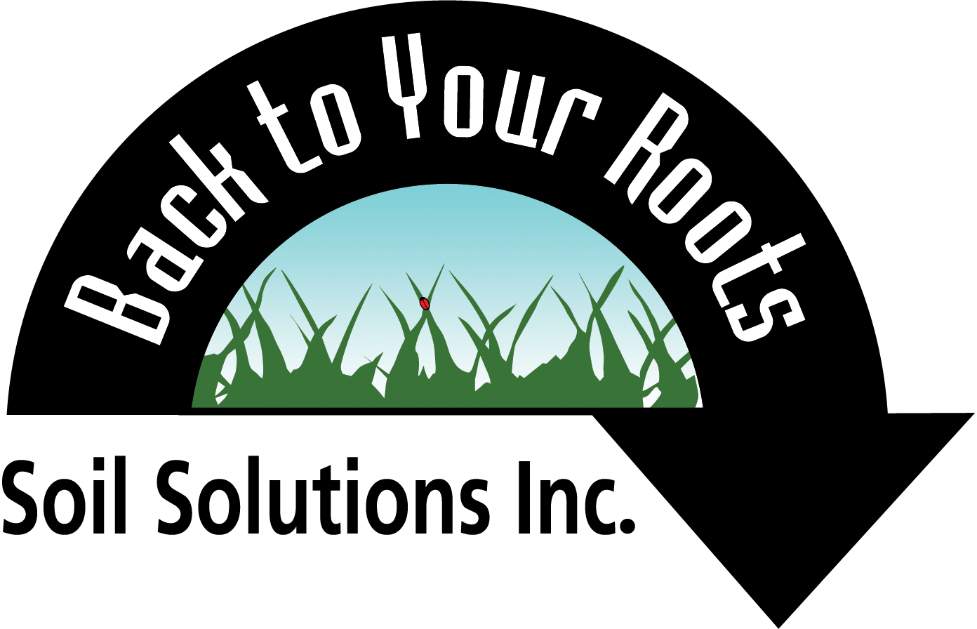 BACK TO YOUR ROOTS