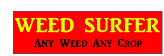 Weed Surfer 